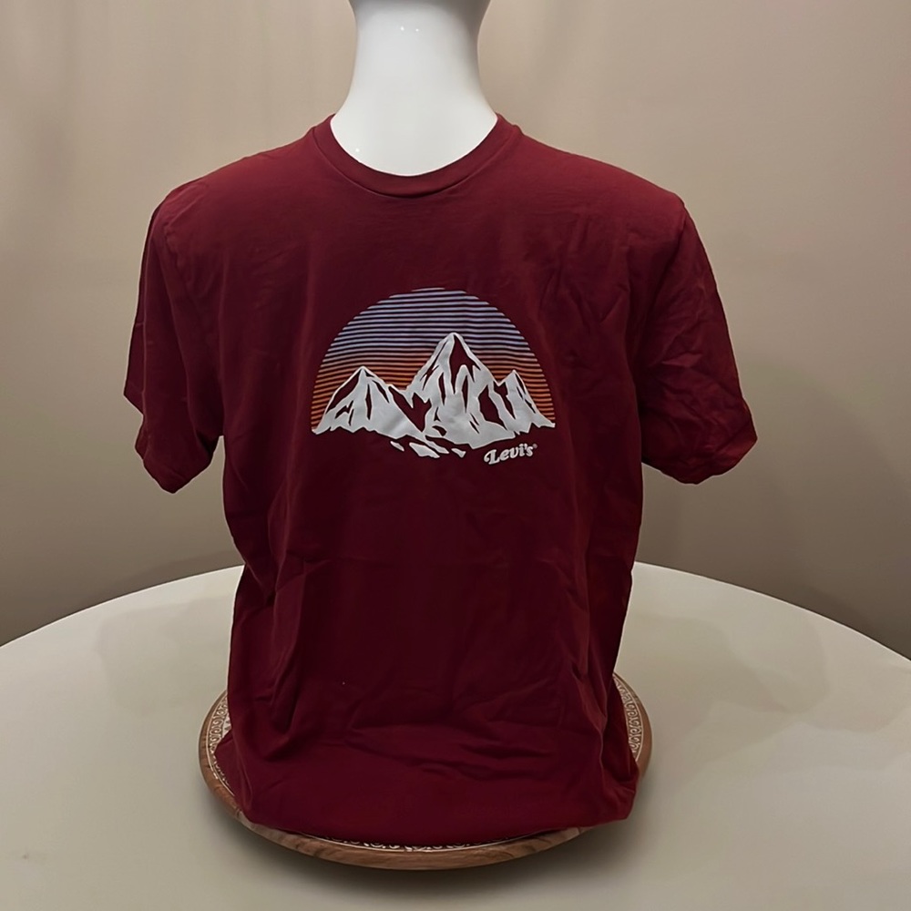 EUC Levi’s tee
